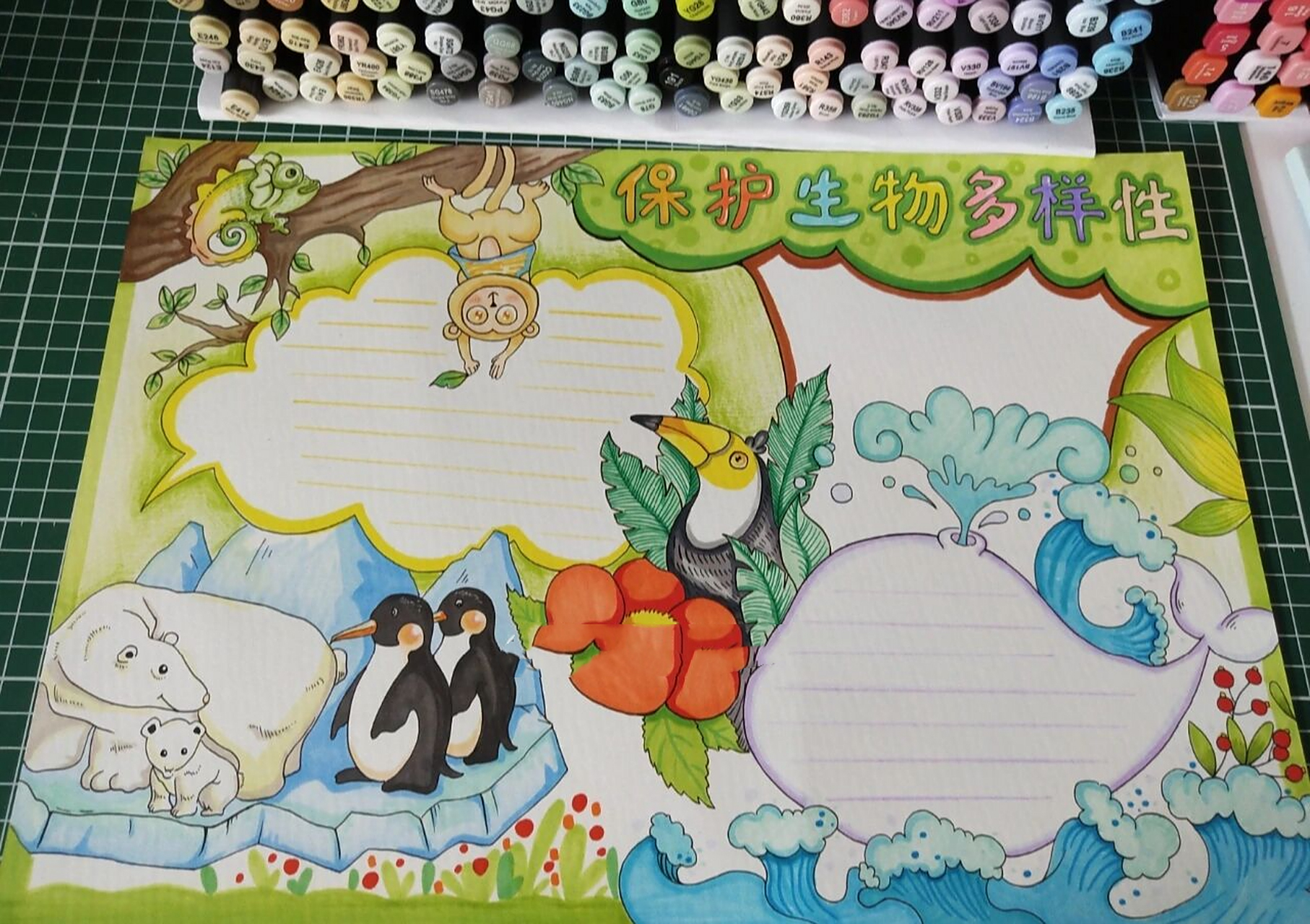 保护生物多样性手抄报 云南cop15手抄报线稿    ✨禁搬运 ✨禁盗