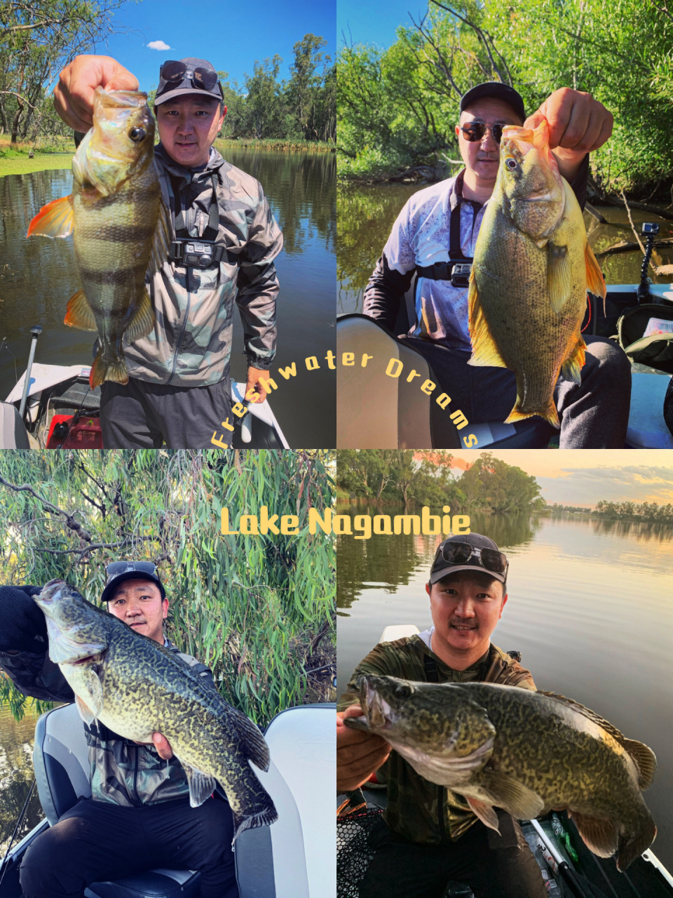 澳洲淡水路亚 | 小心被种草 陆陆续续有很多喜欢海钓的朋友被我种草了