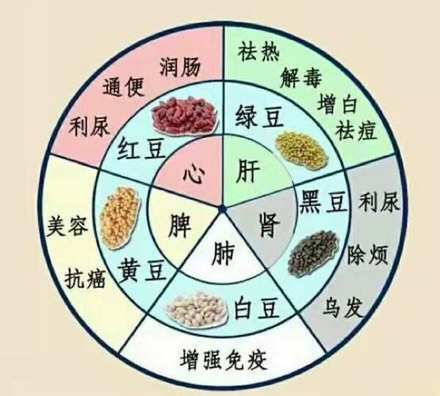 在中医上常讲"五色入五脏",而现代研究证实,食物颜色也是决定营养