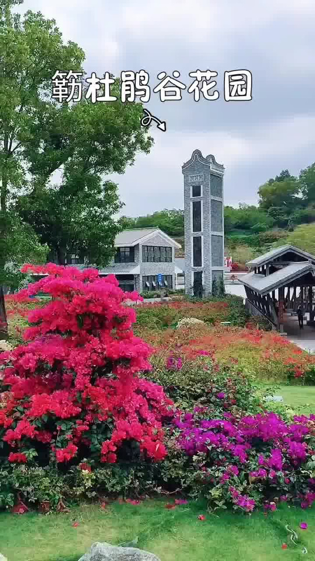 宝安九围山簕杜鹃谷花园