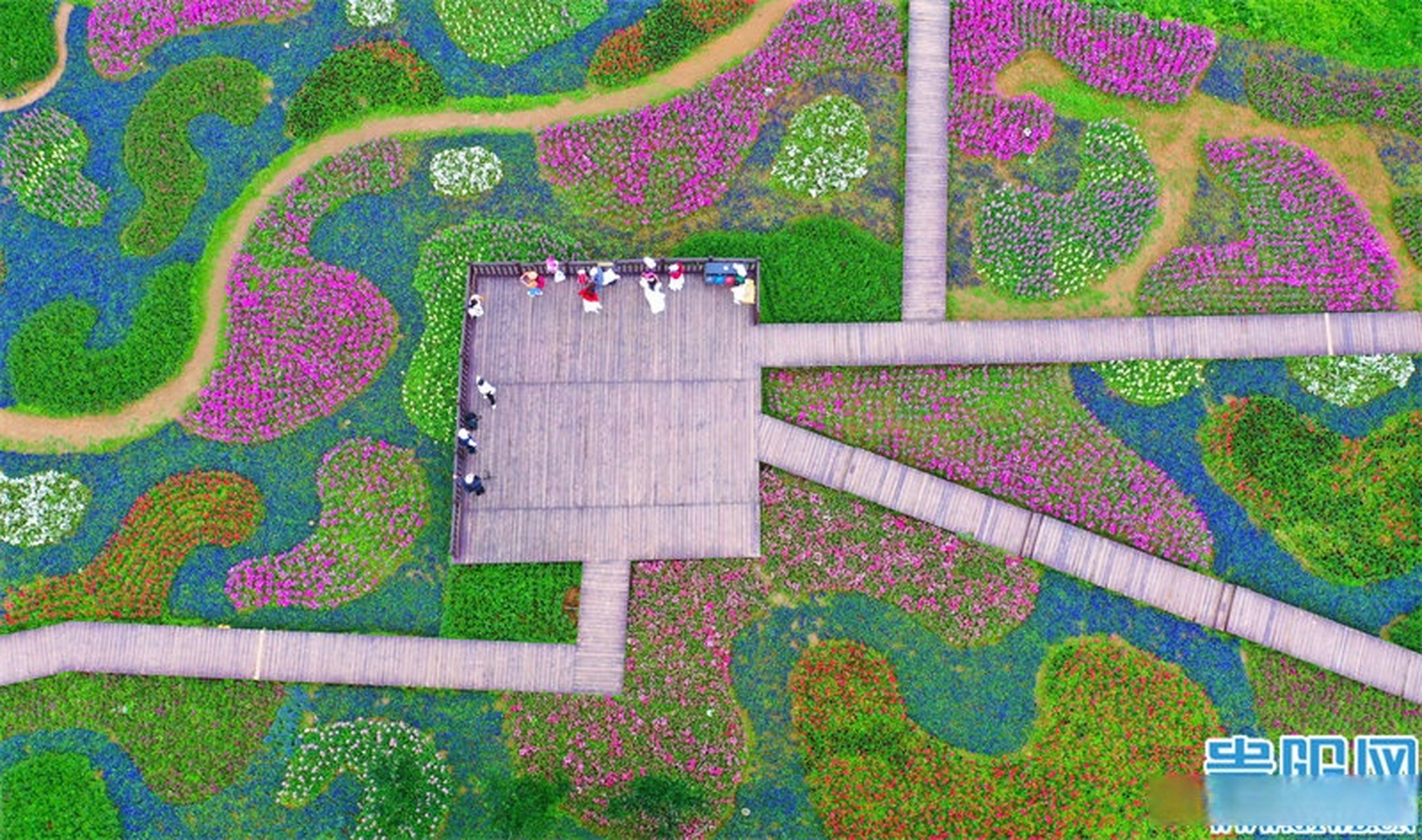 五月相约爽爽贵阳#【爽爽贵阳等你来:花画小镇繁花似锦,七彩地毯等你