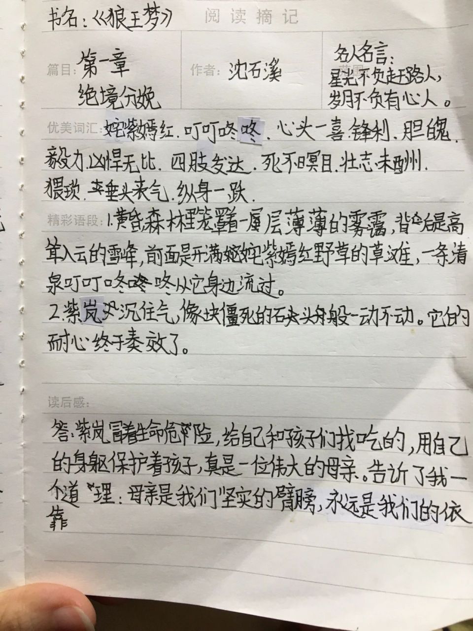 《狼王梦》读书笔记 第一章