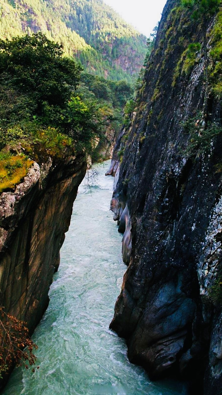 超能新星汇# 来古冰川 是美西冰川,雅隆冰川, 若骄冰川,东嘎冰川, 雄