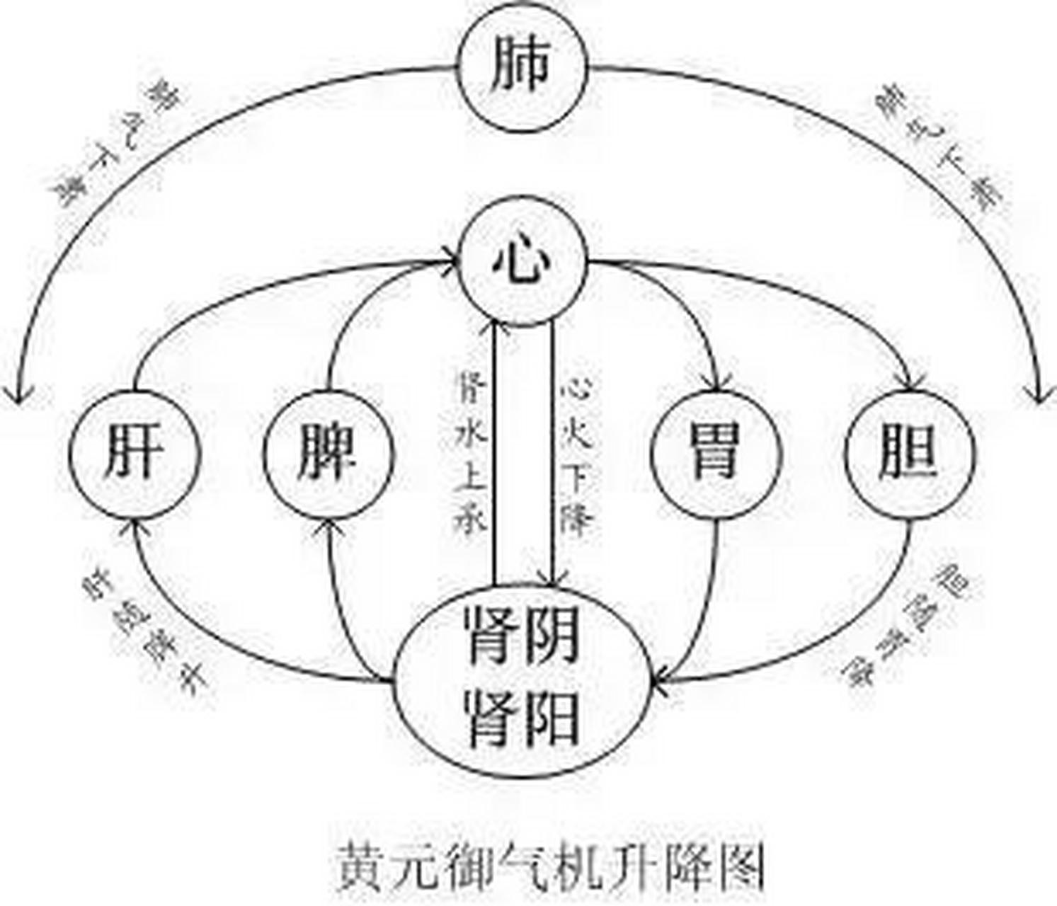 人体圆运动图图片