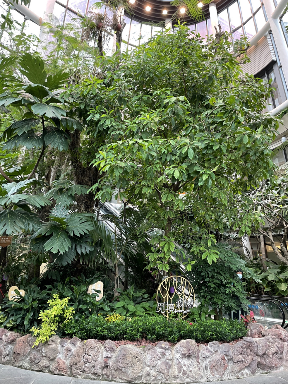 商场里竟然有热带雨林73 南翔印象城,虽然离市区有点远 但是商场真