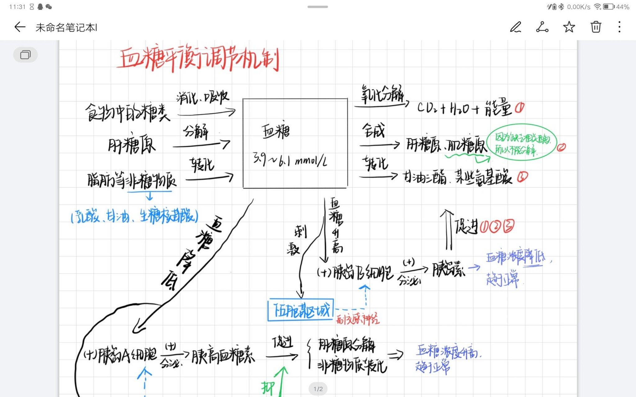 血糖平衡调节机制思维导图92 高中选择性必修血糖平衡调节机制思维