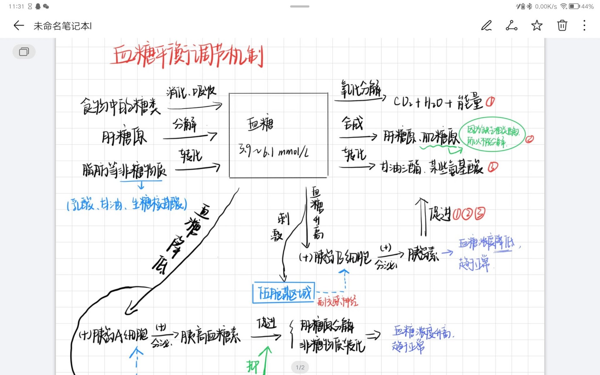 血糖调节的思维导图图片