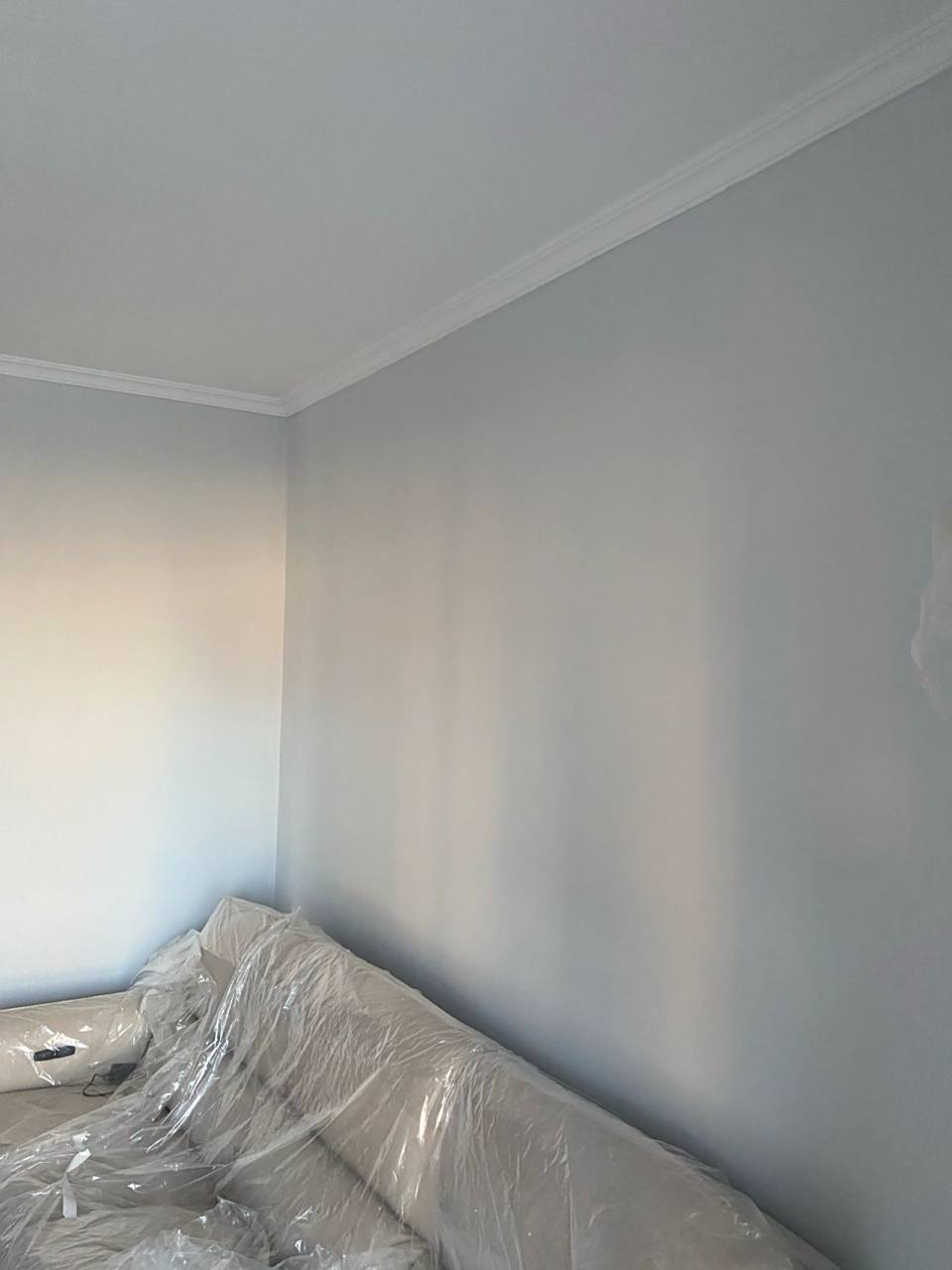 立邦乳胶漆 最终选择客厅通刷了立邦纯净灰,选这个颜色之前也在94做