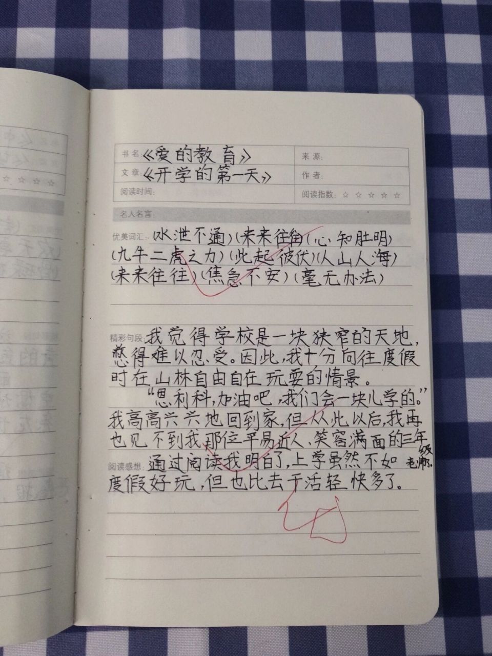 《爱的教育》读书笔记 正在练字中