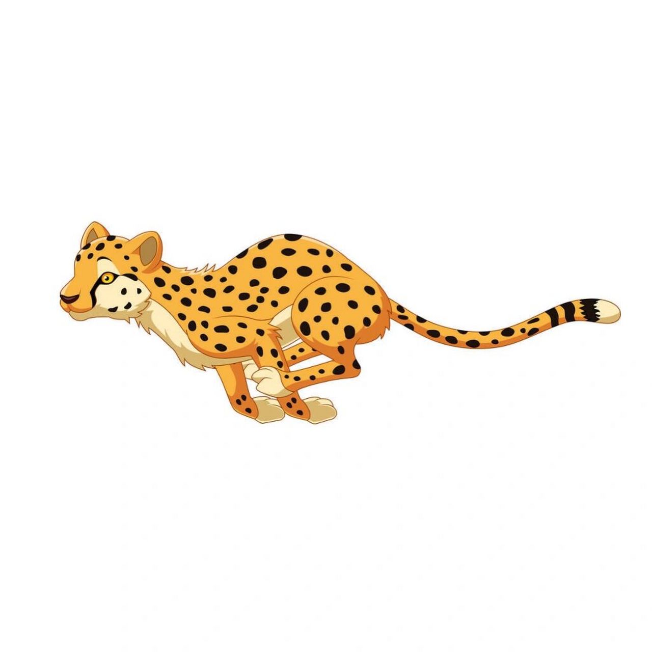 插画|一只卡通猎豹的奔跑瞬间 73猎豹这种动物想必大家都不陌生.