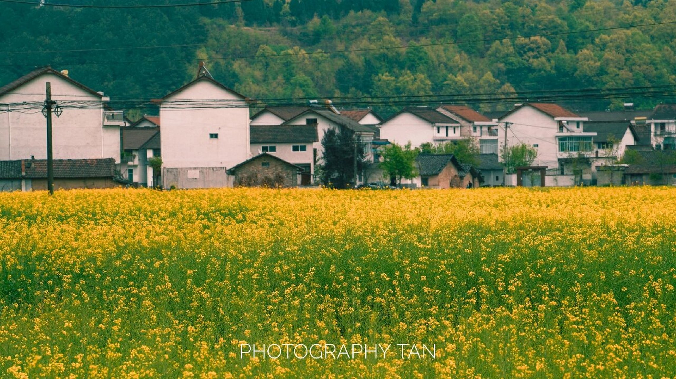汉中油菜花海 | 勉县观花攻略 73勉县地处汉中西南,从汉中驾车出发