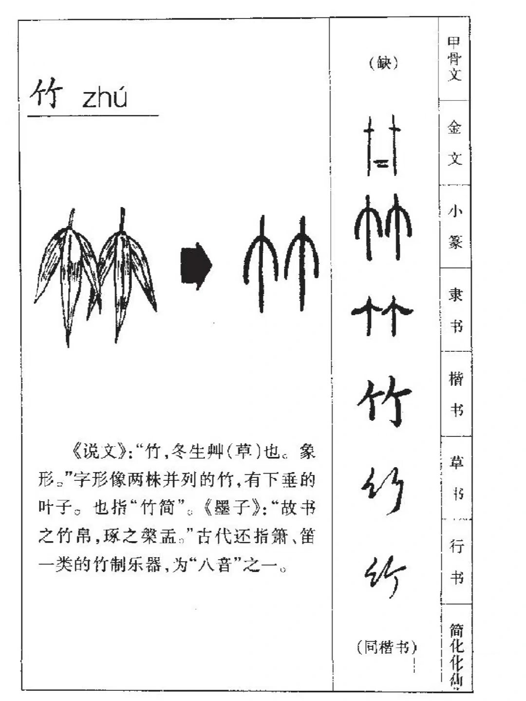 竹字演化