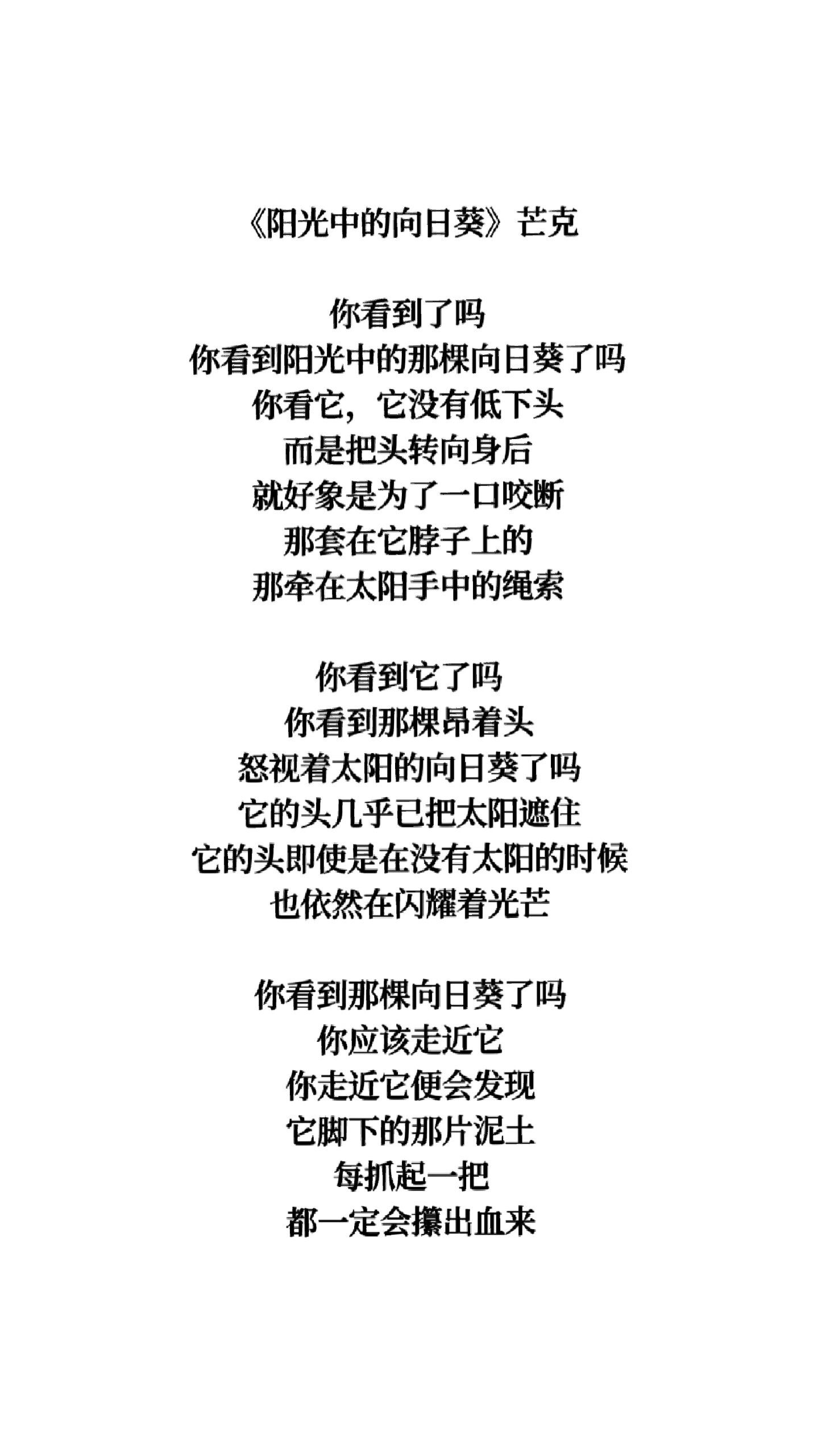 100首现代诗|《阳光中的向日葵》芒克