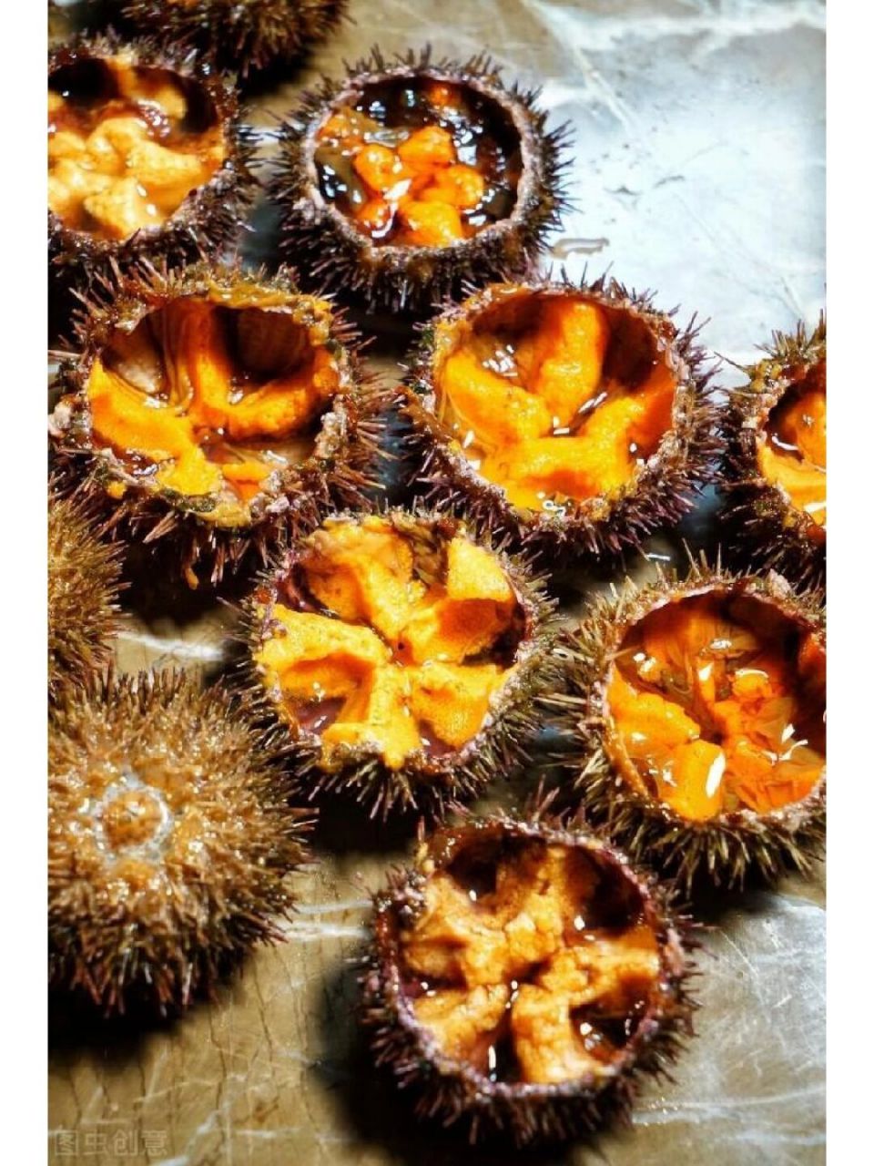 马粪海胆虾夷马粪海胆紫海胆北紫海胆赤海胆 马粪海胆是一种小型的