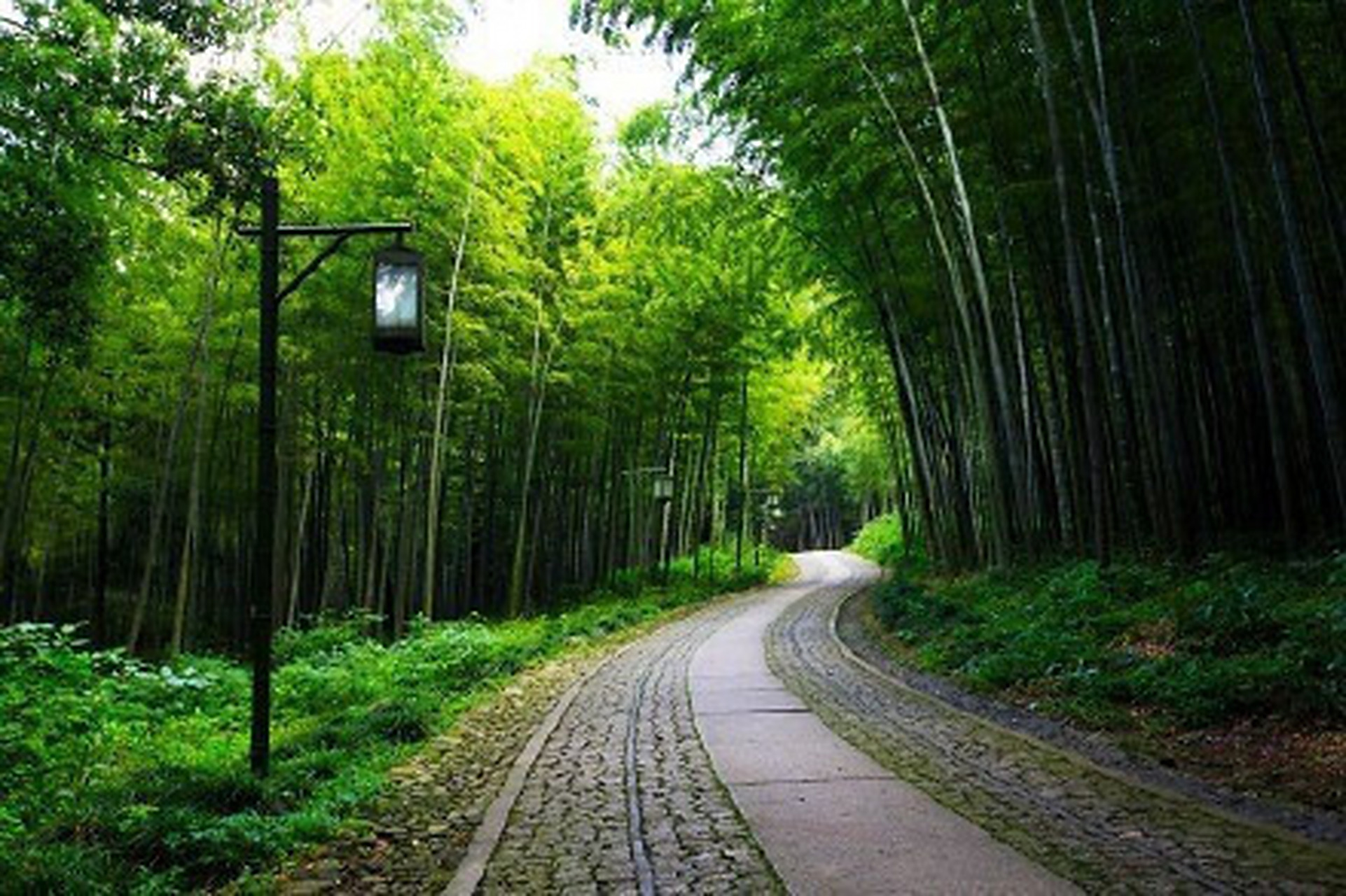 是杭州"新西湖十景"中难得的一处万千茂竹,叮咚溪泉的幽静地点,竹林