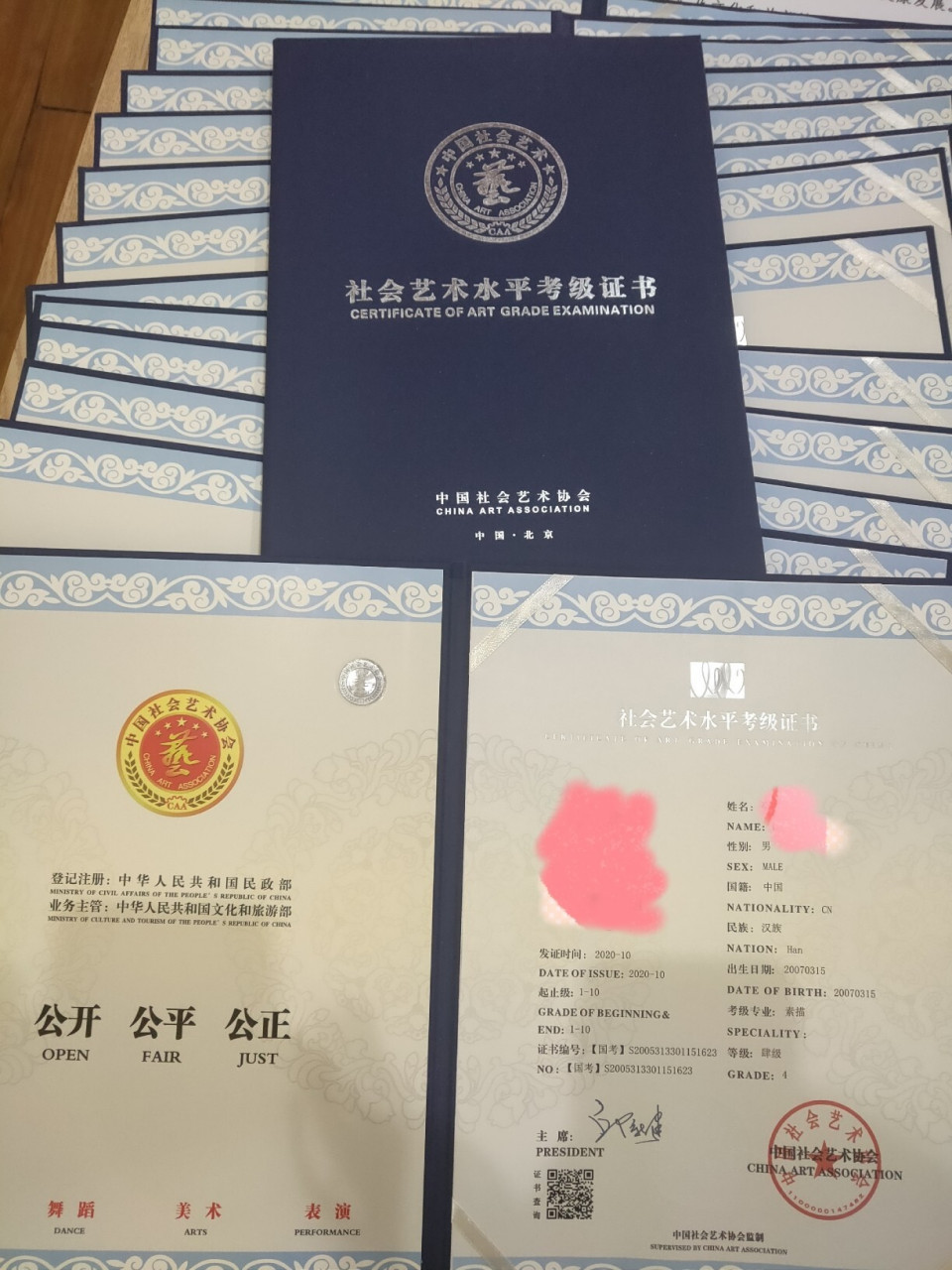 ①《社会艺术水平考级证书》(通过全国美术等级考试获得)全国美术等级