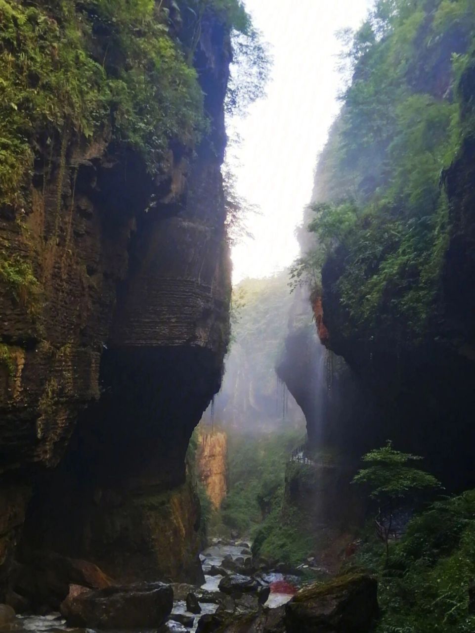 徒步圣地"天坑村"-恩施鹿院坪到底怎么玩 一:目的地恩施鹿院坪生态