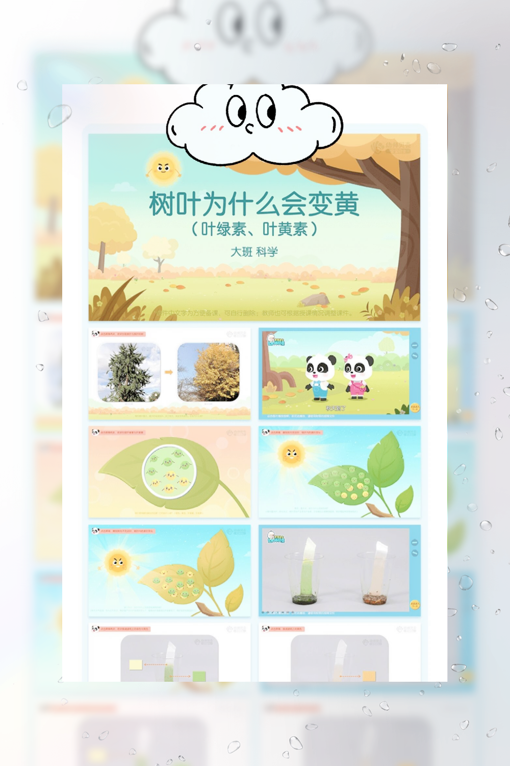 树叶为什么变黄 树叶为什么变黄