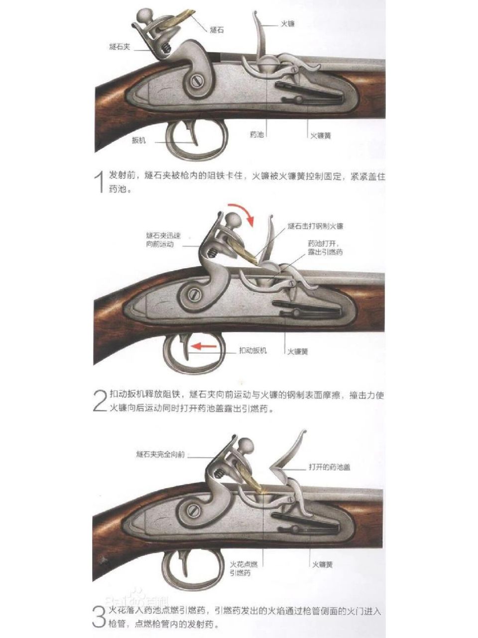 燧发枪枪机及点火方式与枪体详细分解