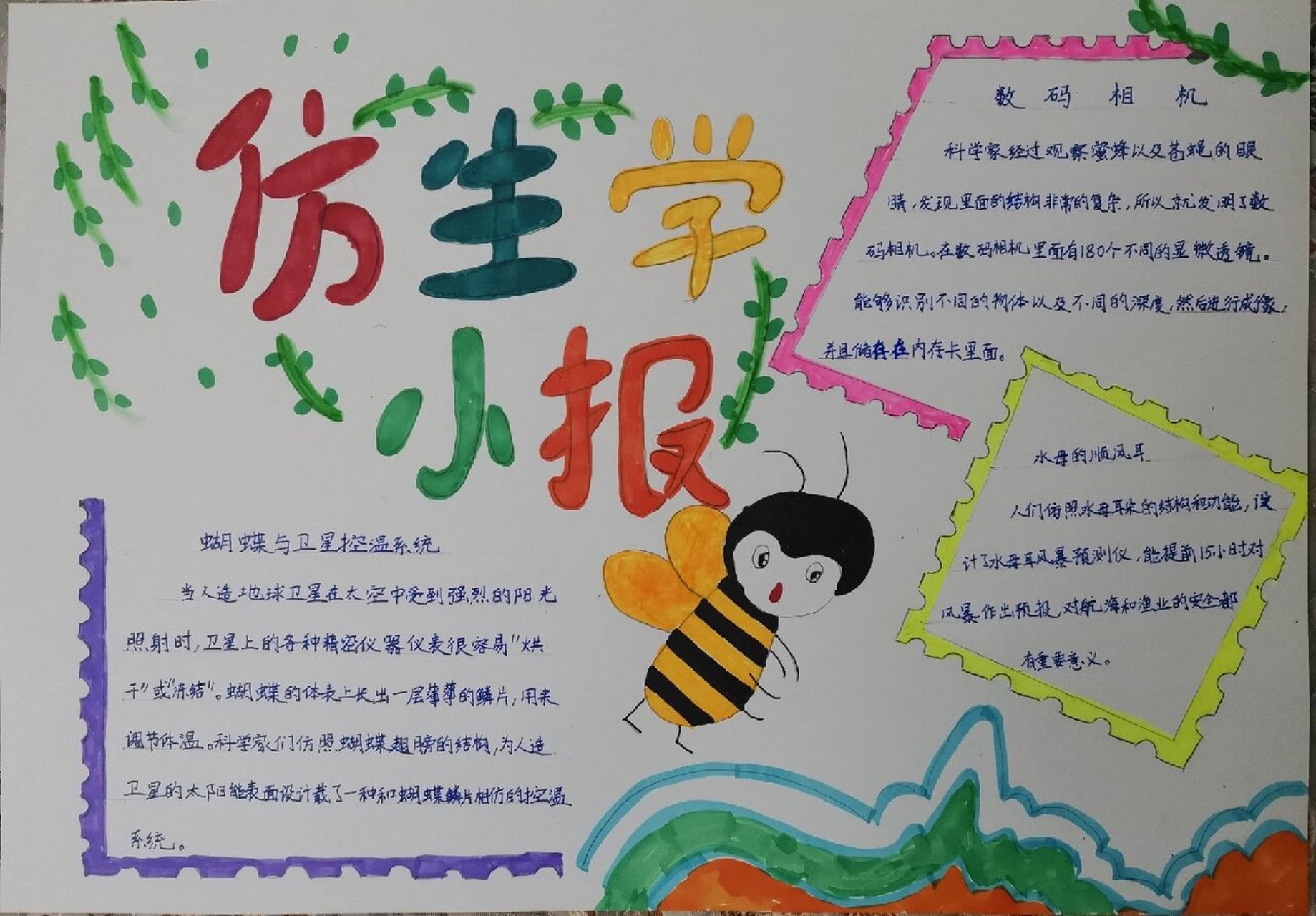 四年级语文,国庆节作业,仿生学手抄报!#手抄报作业