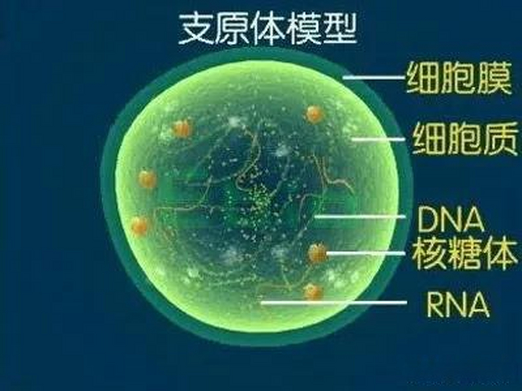 支原体肺炎高发 有医院病房全饱和听着视频里孩子的哭声和咳嗽声,我的