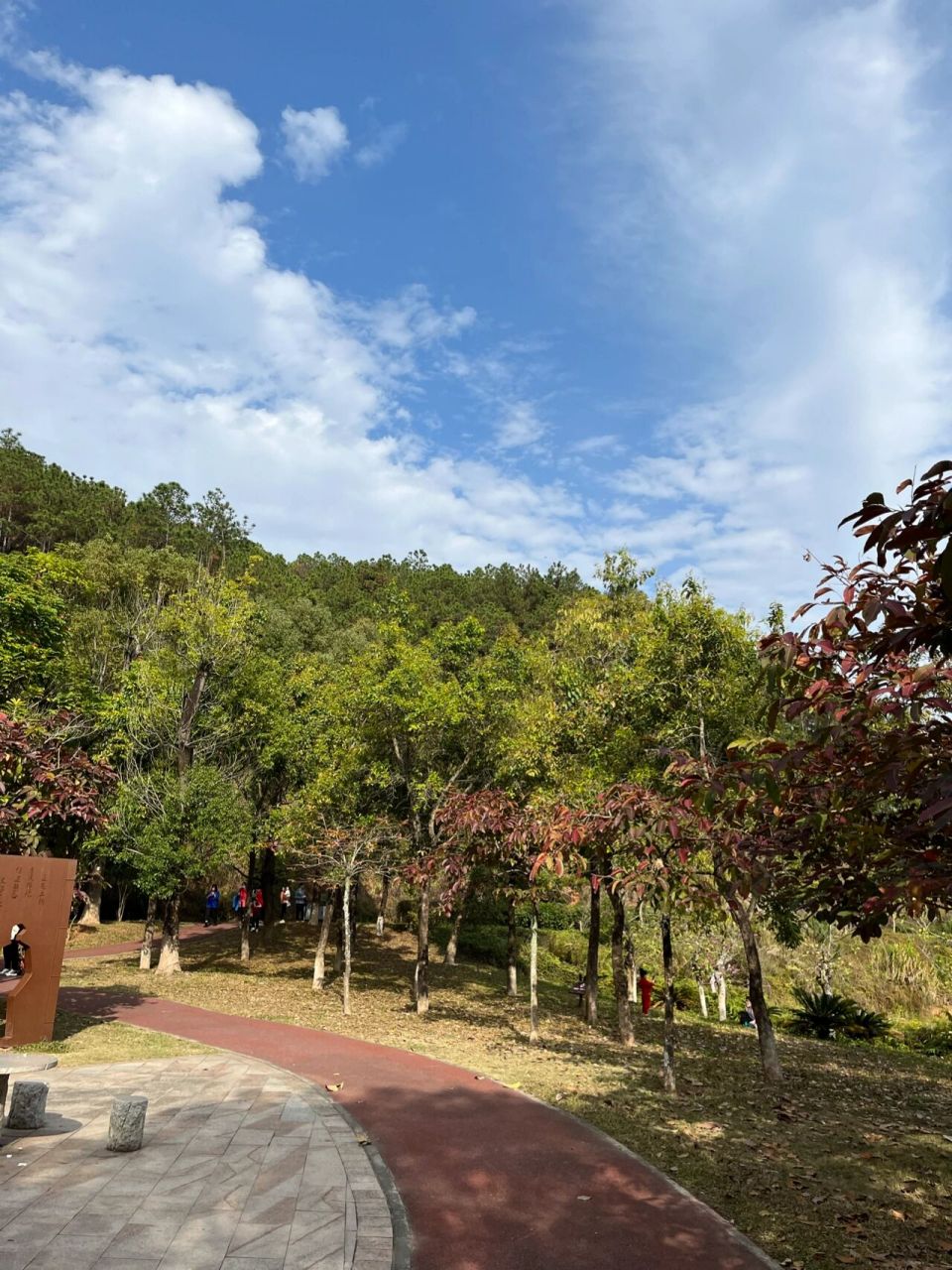 惠州溜娃|又发现一个好玩的公园 博罗县东山省级森林公园 从惠城江北