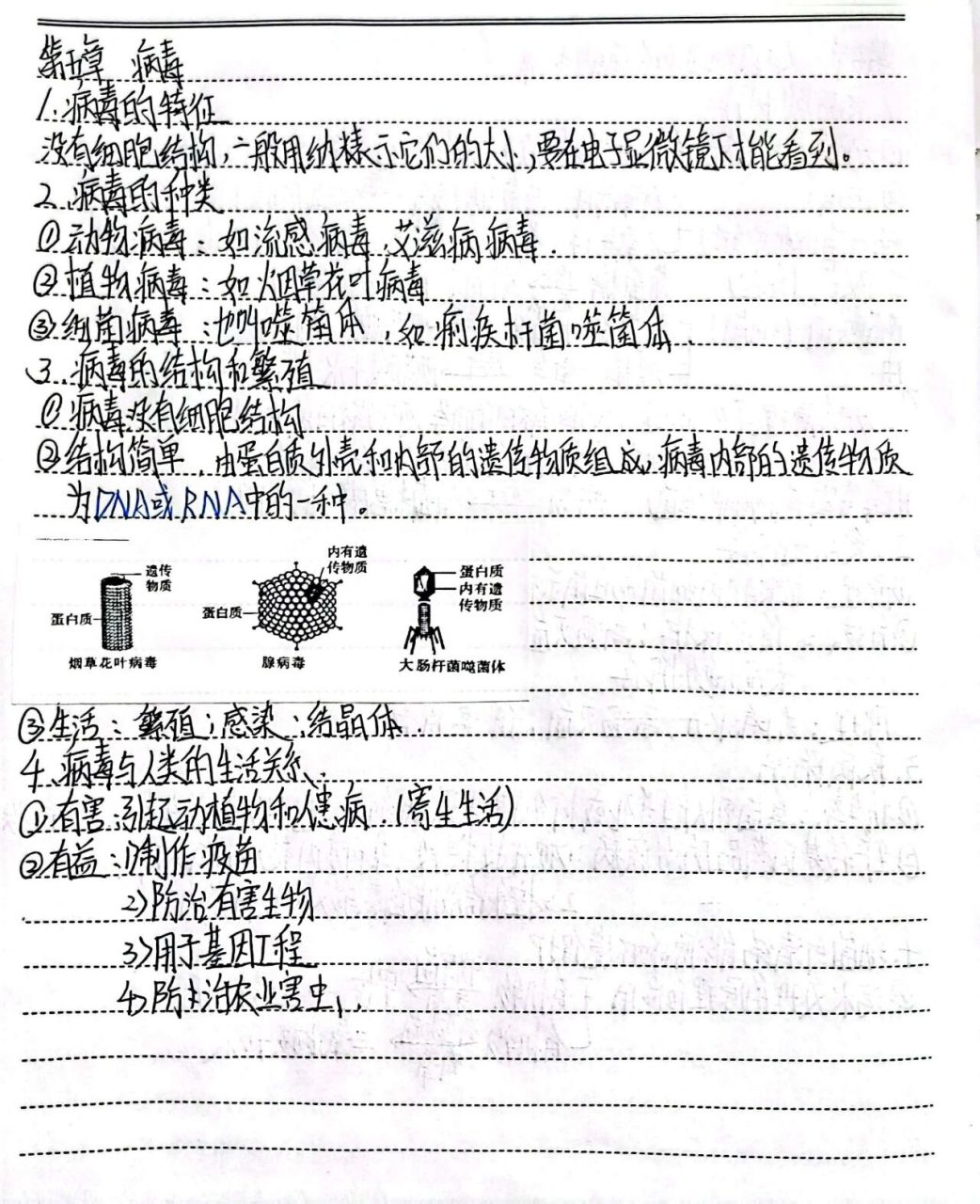八年级上册生物笔记总结——病毒 生物笔记知识点总结7815  1.