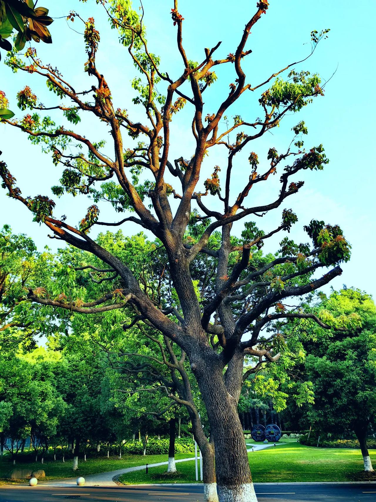 老板为了杜绝这种情况的发生,于是出了一条规定:浪费食物者罚款10元