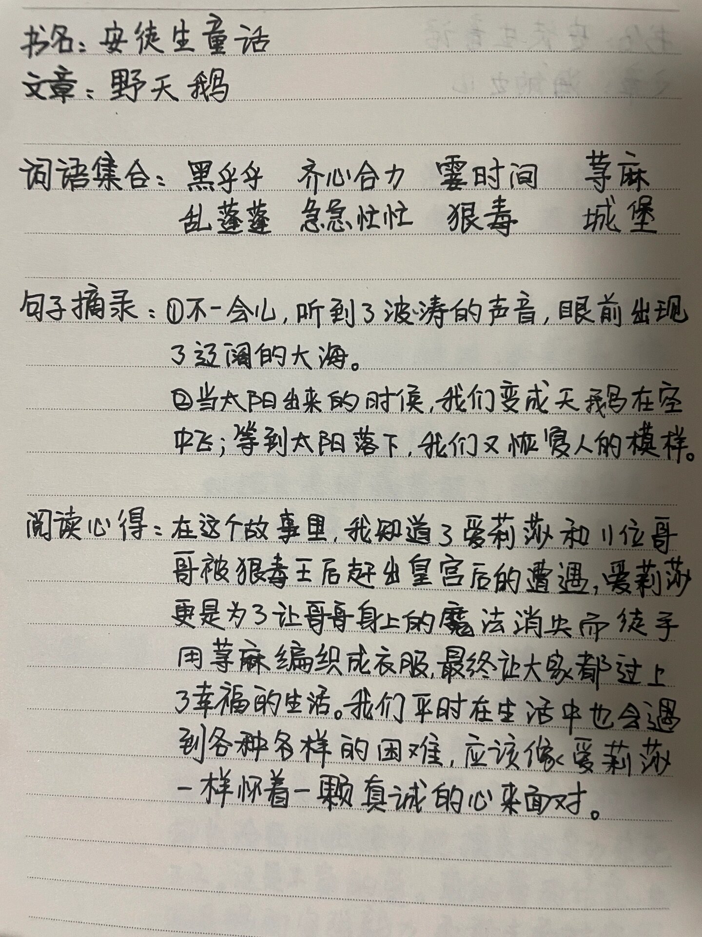 《安徒生童话》之野天鹅06读书笔记