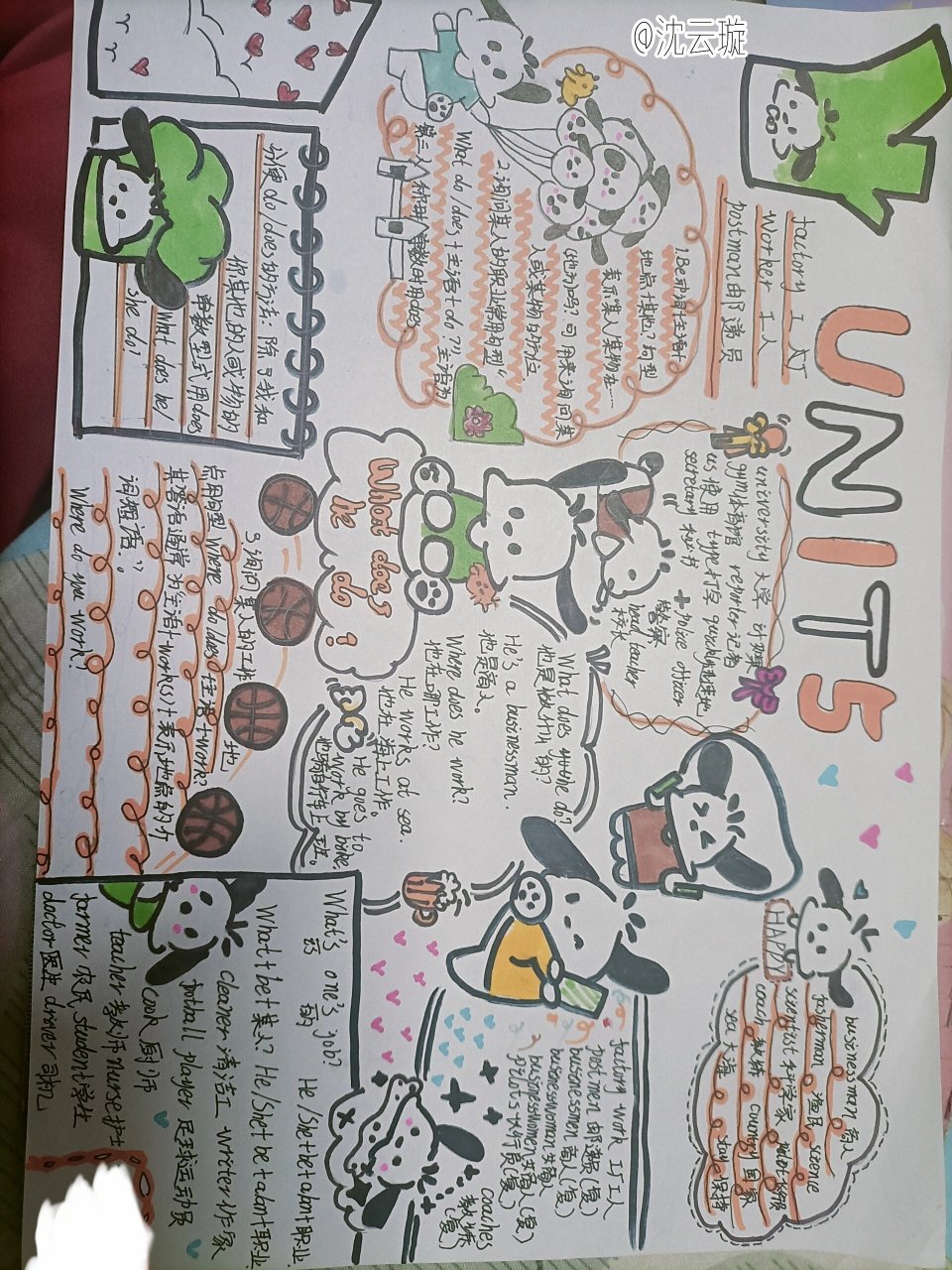 六年级上册英语unit5手抄报
