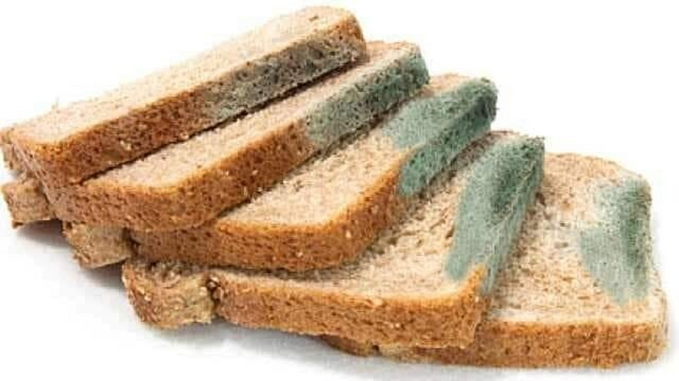 发霉食物有多危险75 每日健康分享站93  【避免癌症的简单事项】