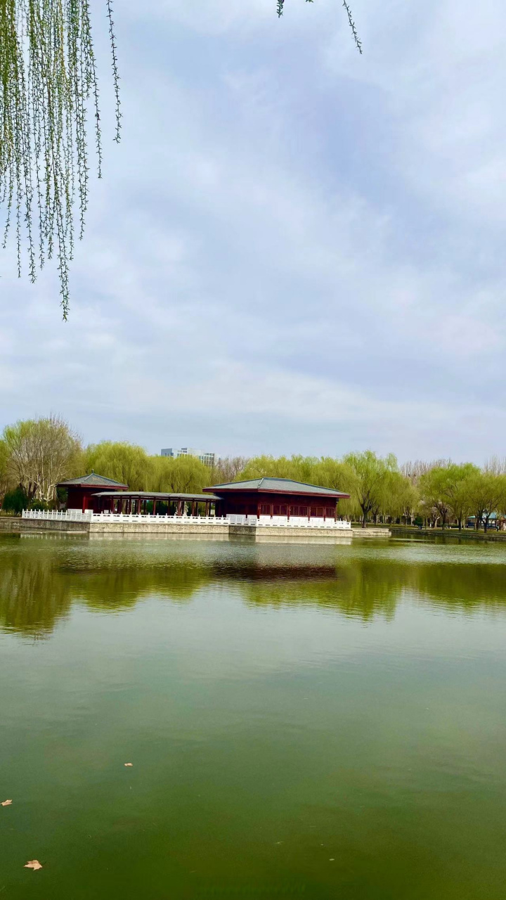 [微风]这个周末去石家庄中山公园吧～[太阳]  (图片拍摄:苏浩军)