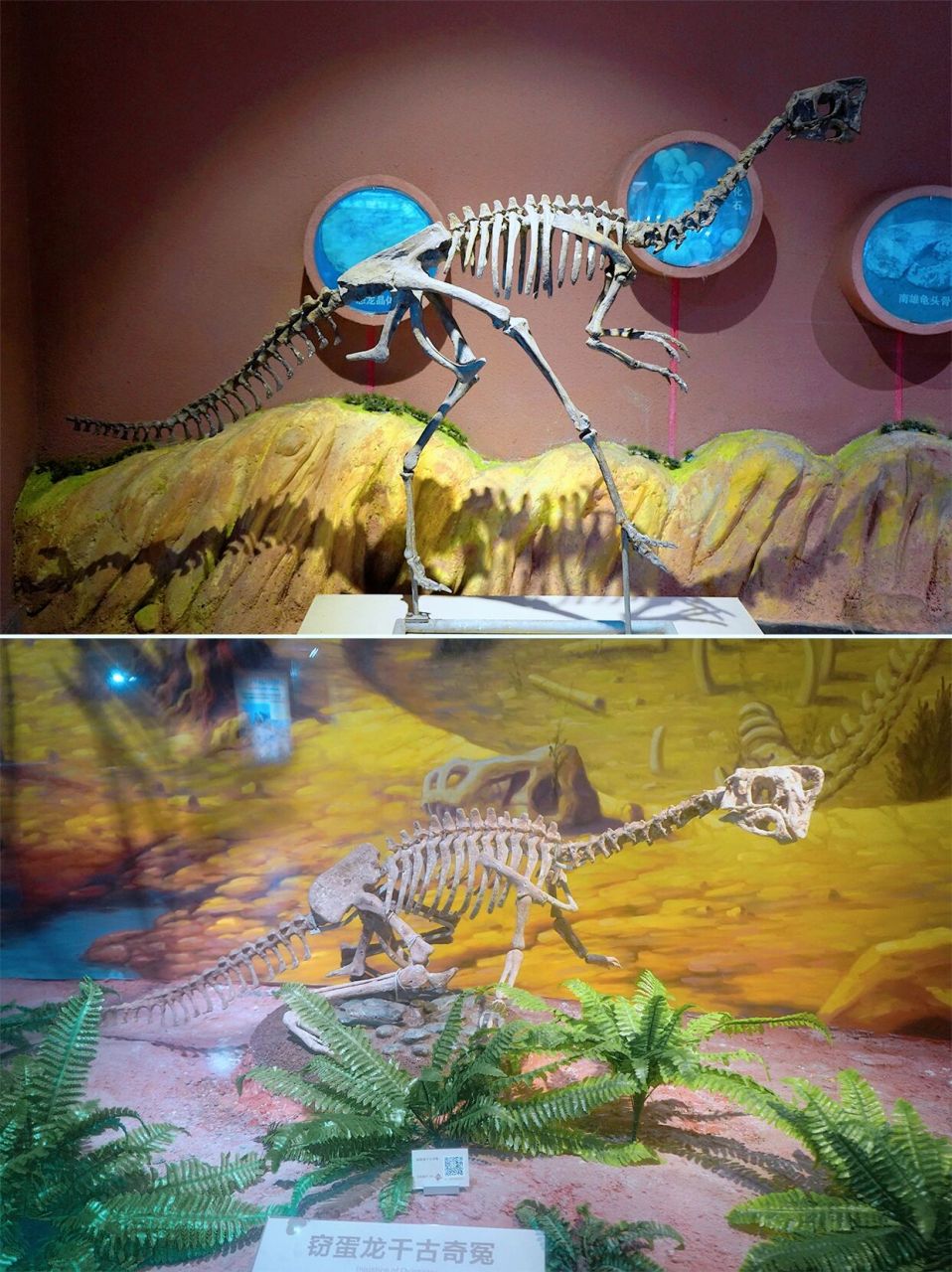 时光印记|河源恐龙博物馆 99位置:直接导航河源恐龙博物馆,门口超大