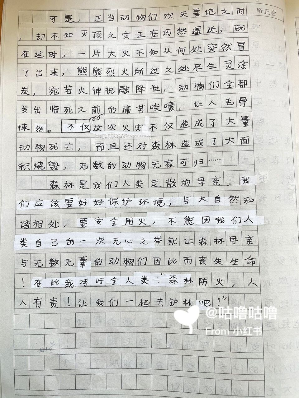 森林防火 小学生森林防火作文400