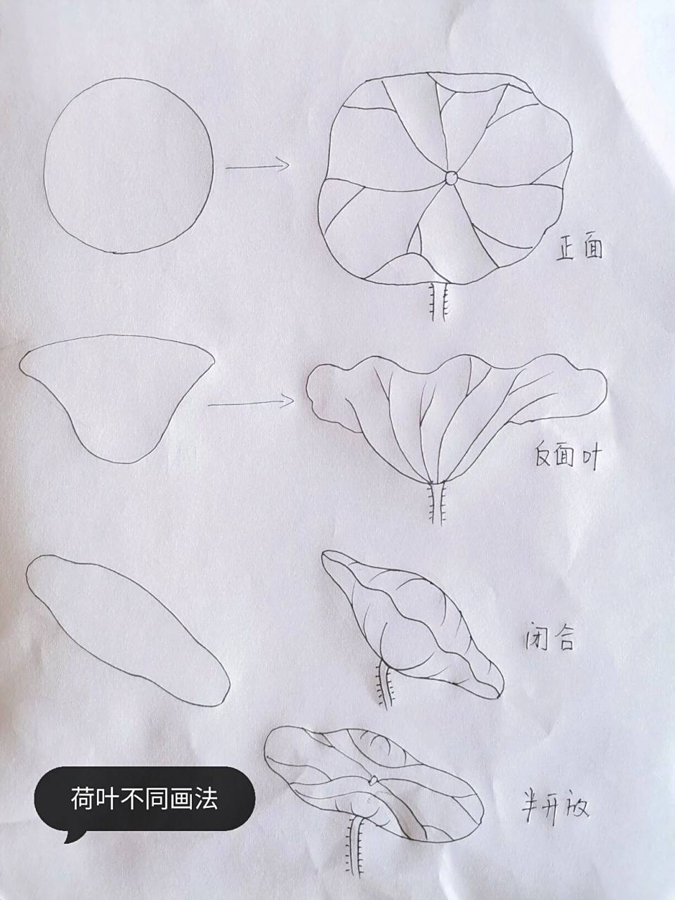 荷叶不同画法,零基础一看就会| 97图一:荷叶不同画法,用几何图形