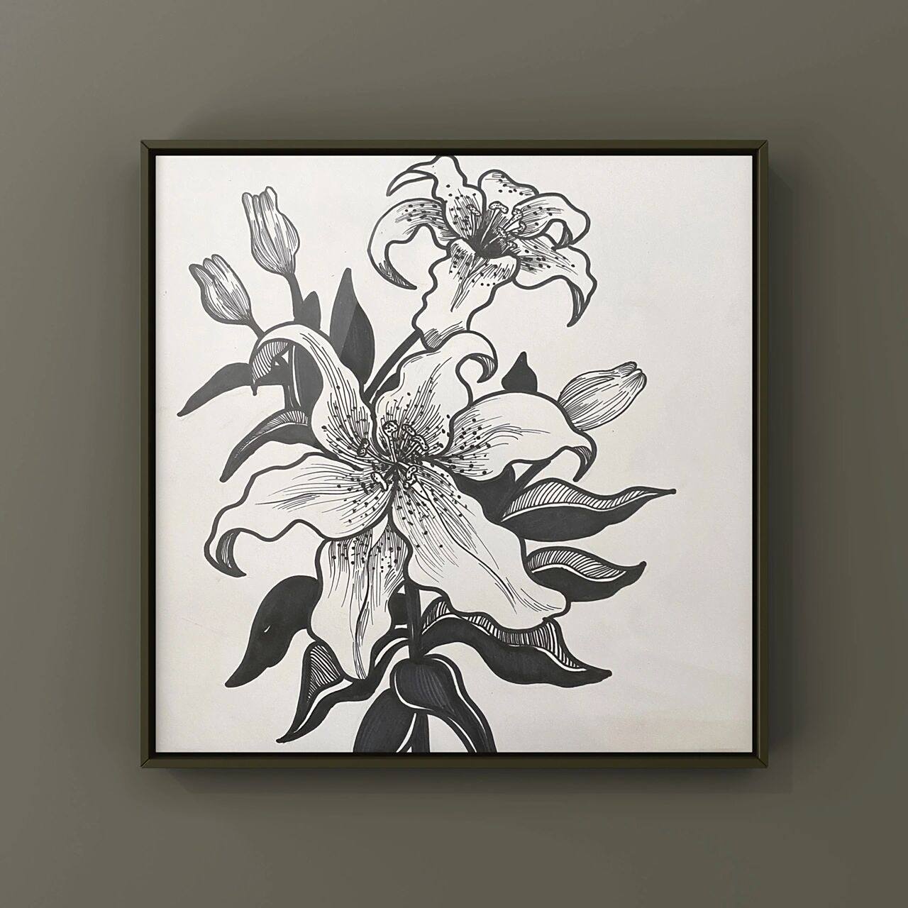 每日一画|黑白线描花卉·百合花 「临摹来自:  特别感谢原创作者提供