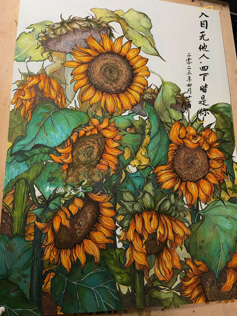 向日葵手绘插画|速写|手绘|线描 备课中
