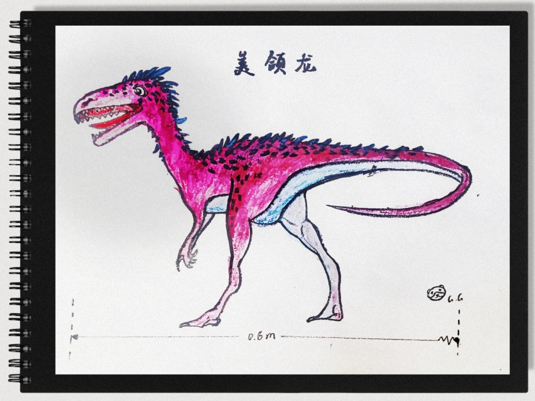 每天一只恐龙——做小的恐龙 美颌龙身长 0.