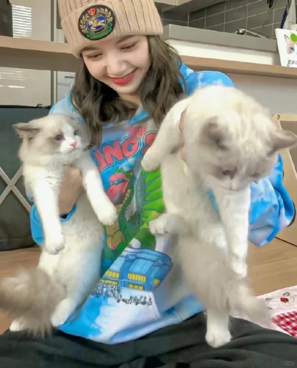 lisa养猫惹争议被指责没有任何爱宠之心,之前还听说lisa虐待猫咪