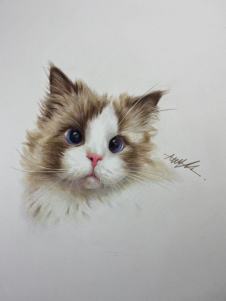 彩铅猫咪(带步骤) 很久没发彩铅画了,慢慢淡出彩铅圈,大家且行且珍惜