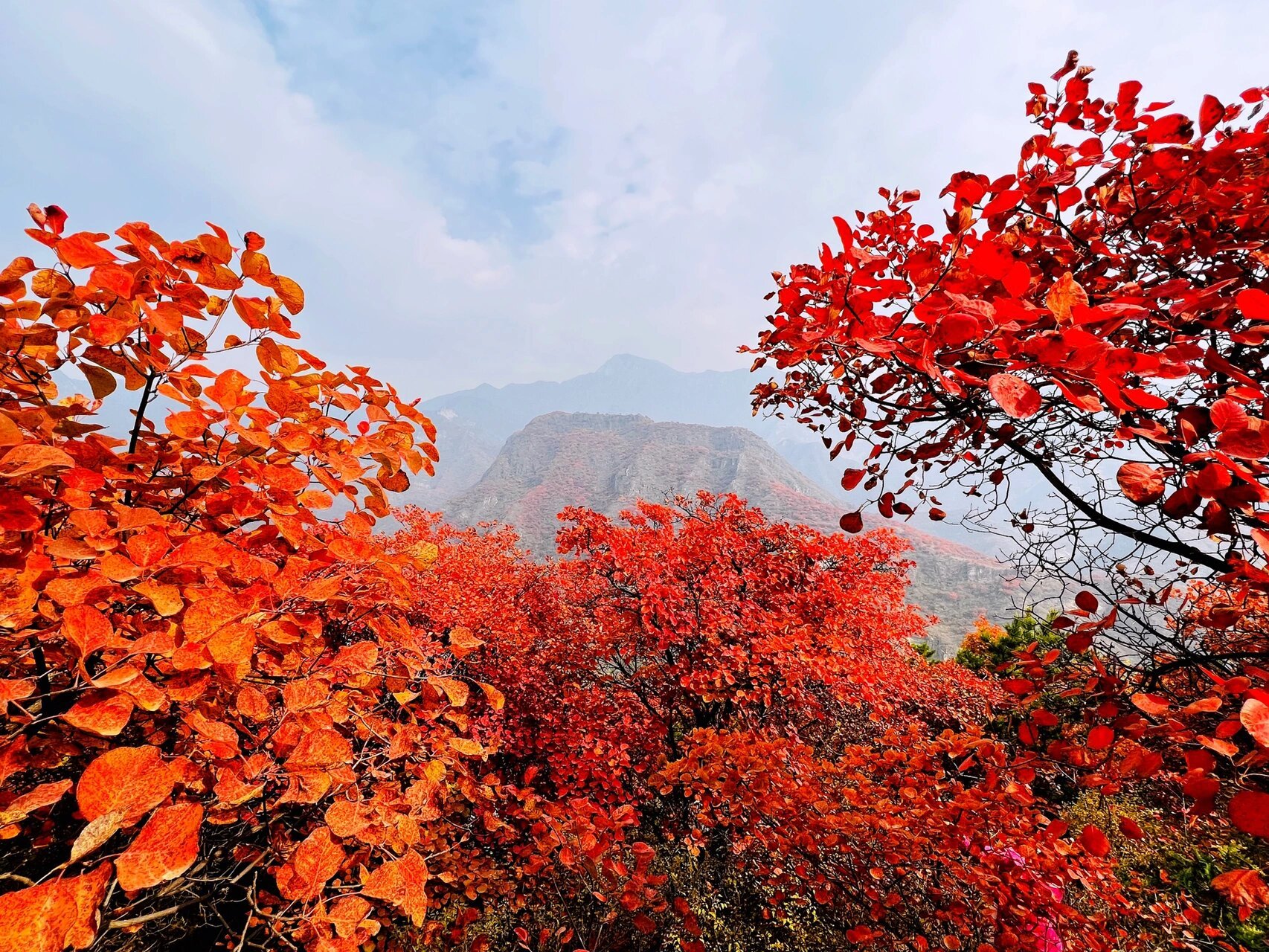 泗马沟药王谷风景区 药王谷距离坡峰岭2.