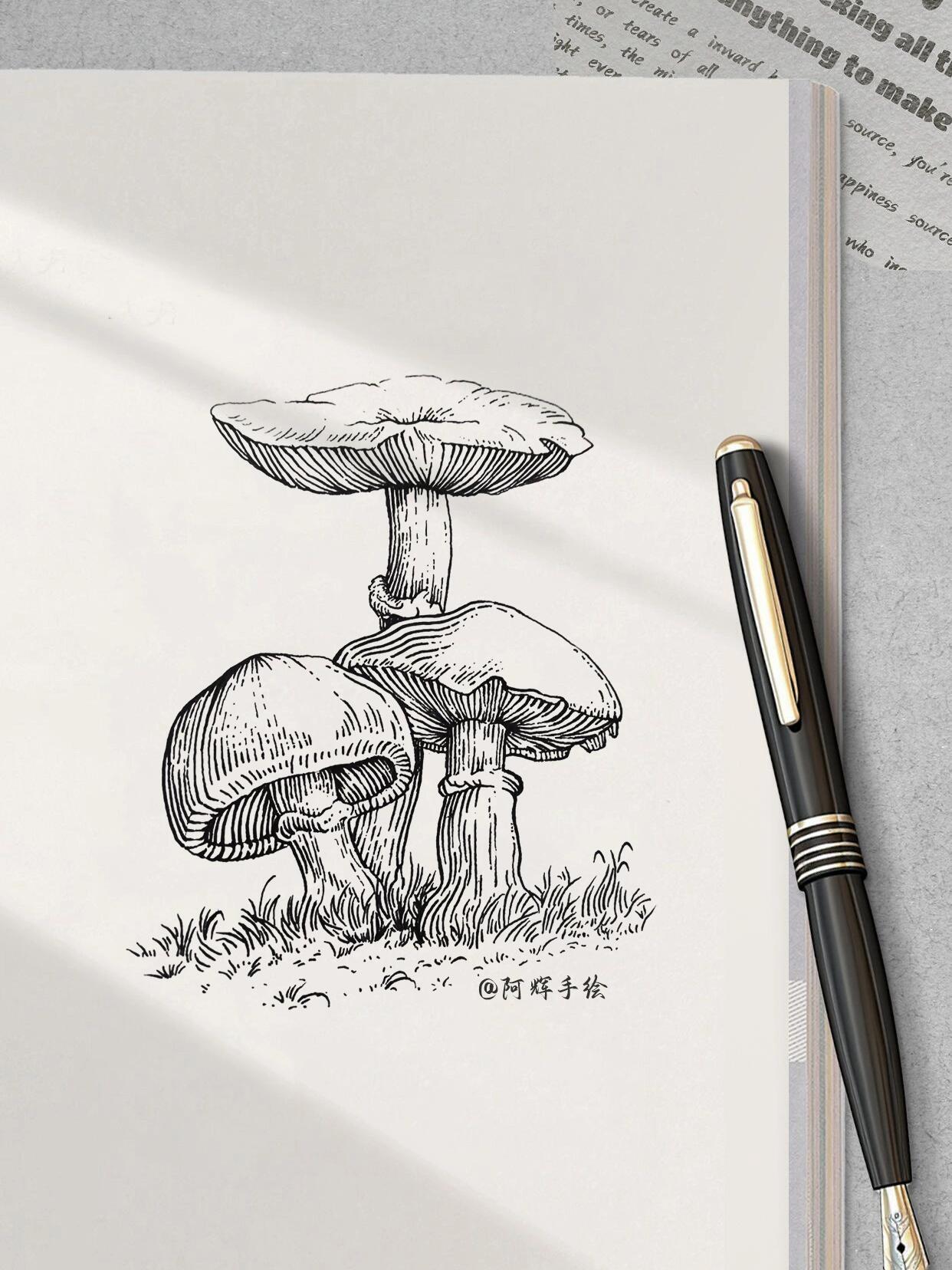 钢笔画蘑菇🍄