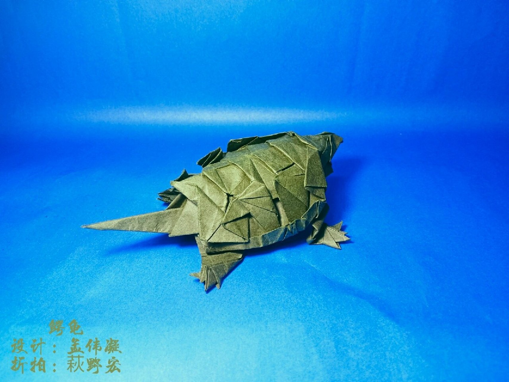【折纸日常打卡系列】鳄龟  大佬的设计出自一水一世界大佬的风格是我