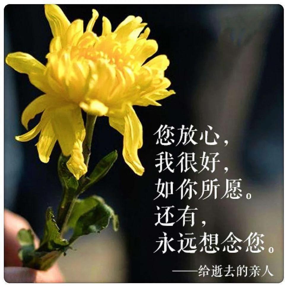 纪念逝去的qq空间=纪念逝去的空间图片
