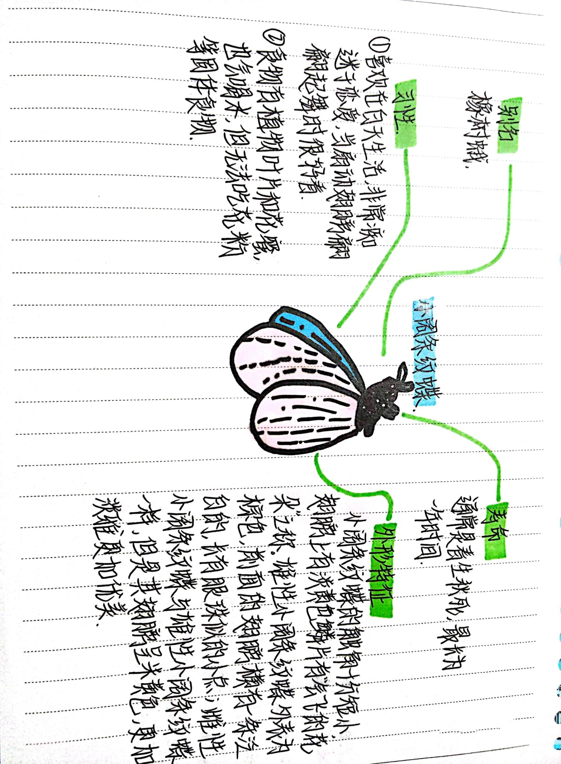 昆虫记思维导图资料图片
