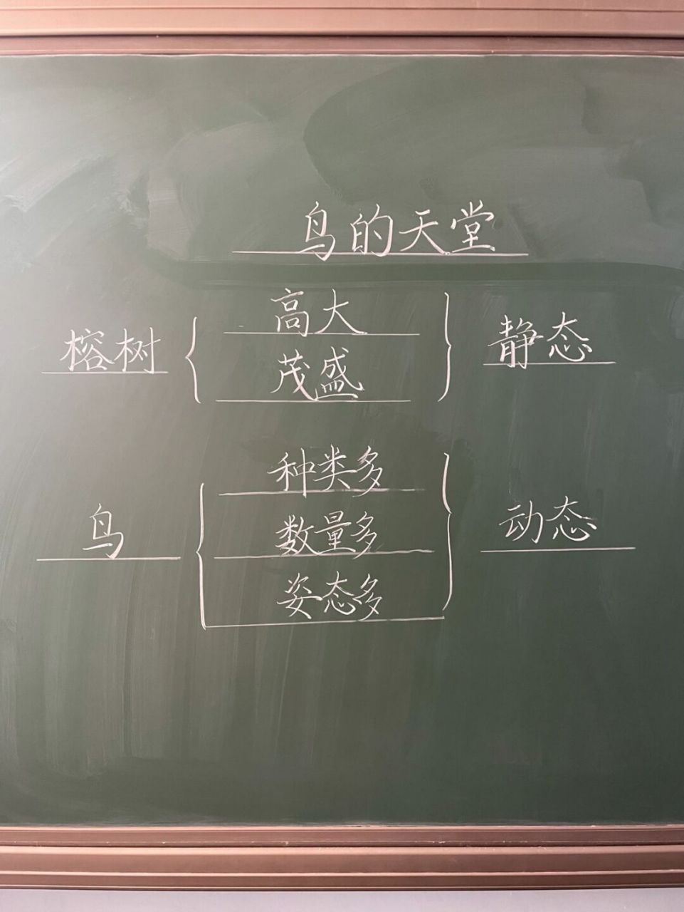 五年级上册《鸟的天堂》板书77教学设计 #小学语文备课# #板书设计