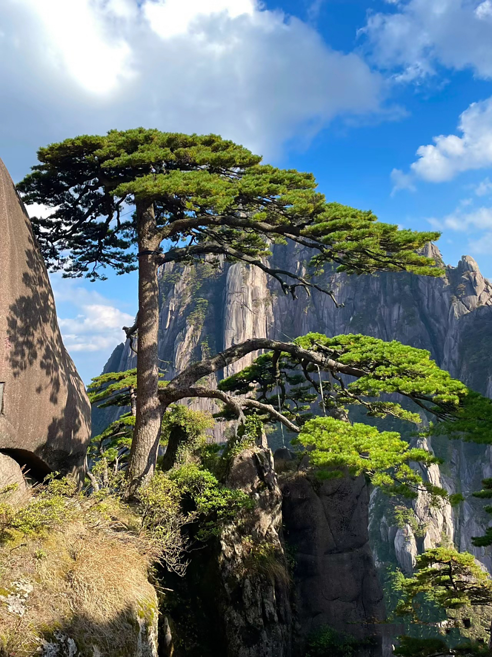 黄山日出,云海,迎客松|图七附详细线路图 明朝旅行家徐霞客登临黄山时