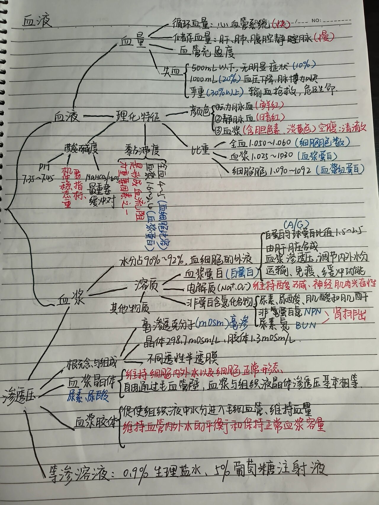 初中血液思维导图图片