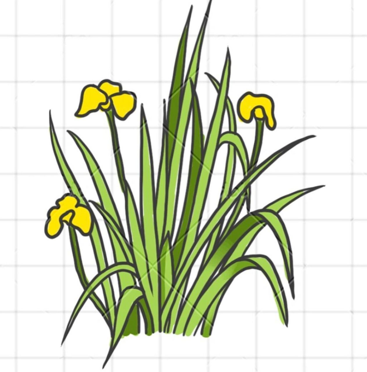 11/100简笔画|植物|线稿77上色96|多领域授权 神兽们又要开学啦