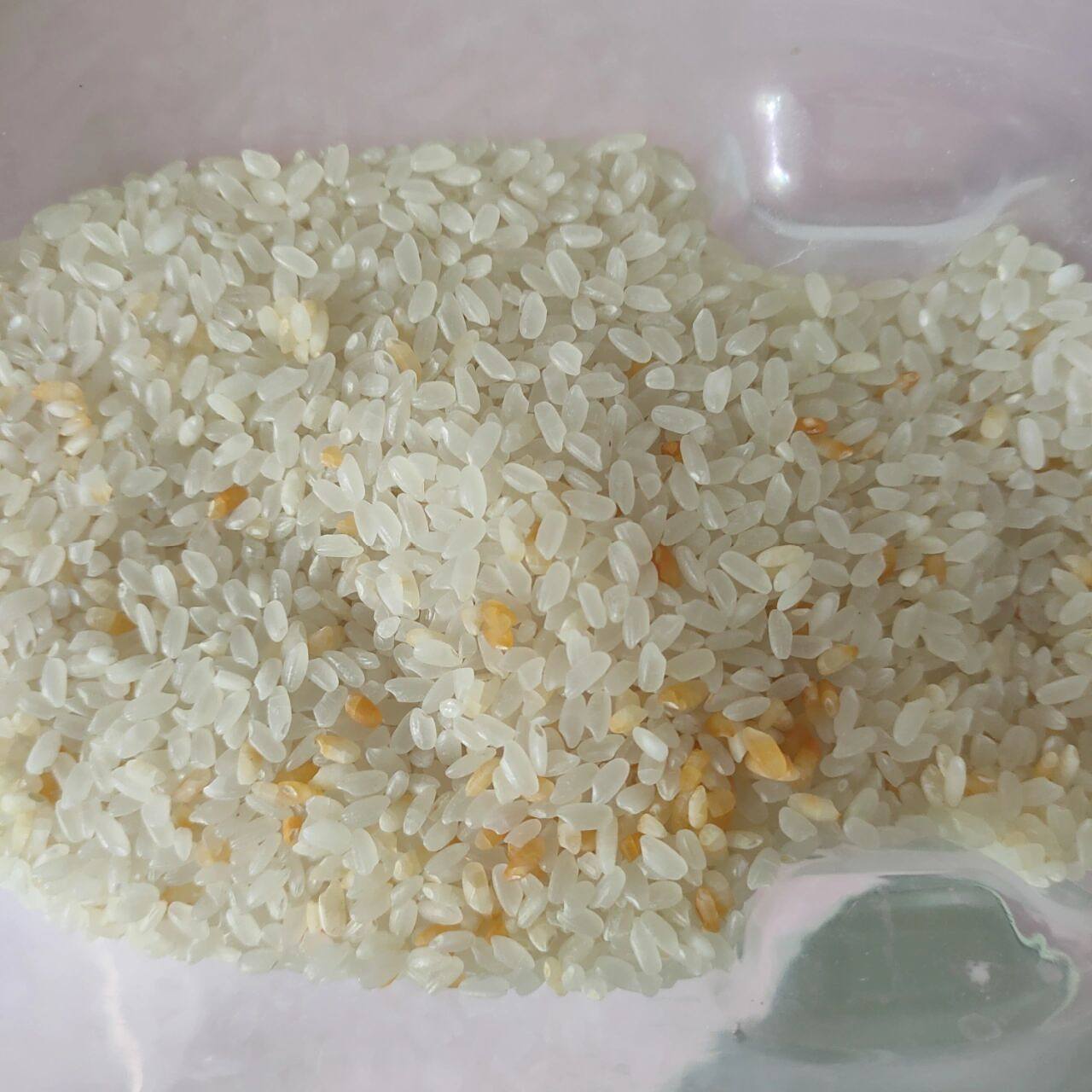 大米里有黄粒米是为什么?还能吃吗? 哦哟,这什么情况?